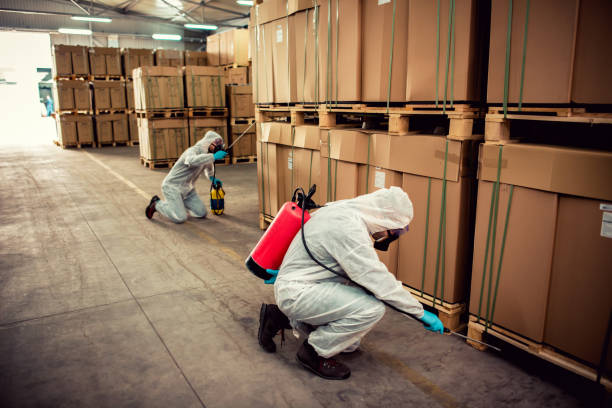 Best Cockroach Control Services  in Winnemucca, NV