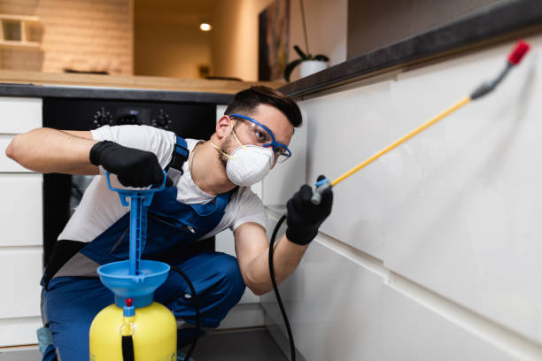 Best Mosquito Control Services  in Winnemucca, NV
