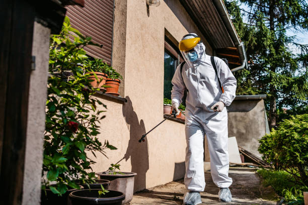 Best Pest Prevention Services  in Winnemucca, NV