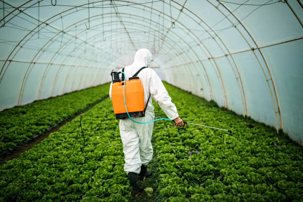 Best Commercial Pest Control Services  in Winnemucca, NV