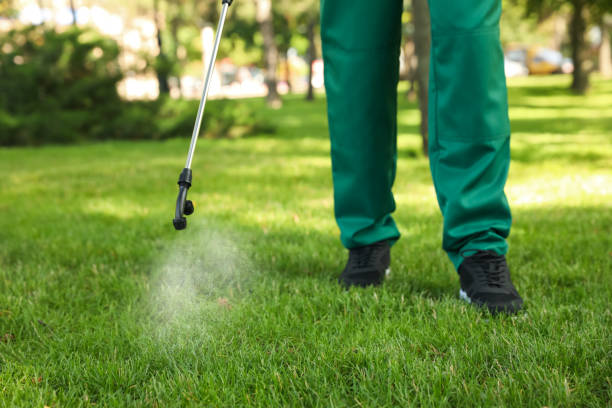 Pest Control for Restaurants in Winnemucca, NV