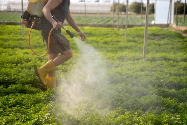Best Exterminator Services  in Winnemucca, NV