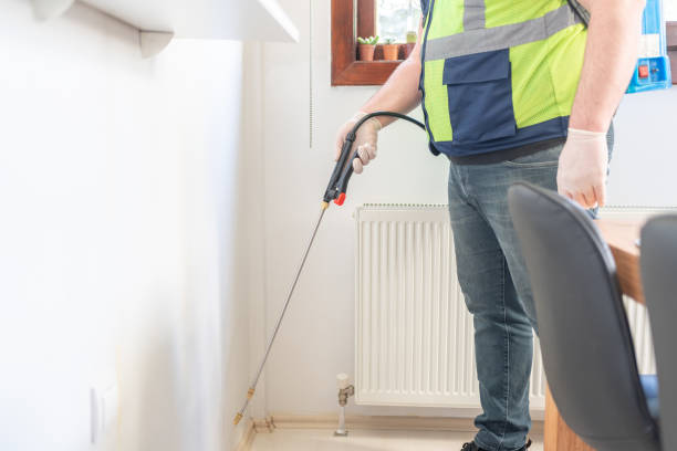 Best Local Pest Control Services  in Winnemucca, NV