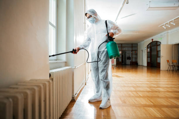 Best Flea Control Services  in Winnemucca, NV